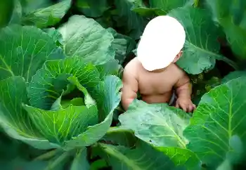 বিভাগ থেকে ফটোইফেক্ট শিশুদের জন্য № 90533