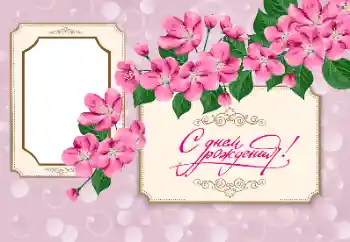 বিভাগ থেকে ফটোইফেক্ট জন্মদিনের কার্ড № 182114. ফ্রেমের লেখা: শুভ জন্মদিন!