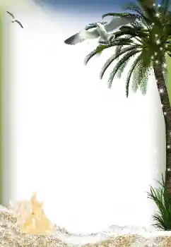 বিভাগ থেকে ফটোইফেক্ট গ্রীষ্ম № 149037