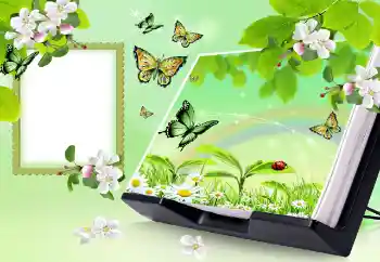 বিভাগ থেকে ফটোইফেক্ট গ্রীষ্ম № 150647