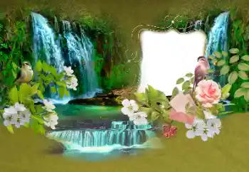 বিভাগ থেকে ফটোইফেক্ট গ্রীষ্ম № 153156