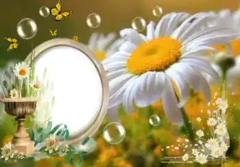 বিভাগ থেকে ফটোইফেক্ট গ্রীষ্ম № 153157