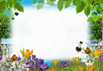 বিভাগ থেকে ফটোইফেক্ট গ্রীষ্ম № 153205