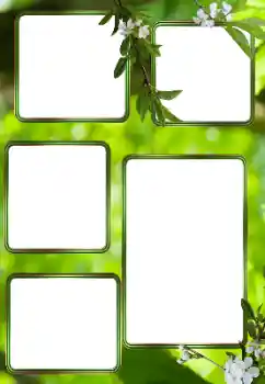 বিভাগ থেকে ফটোইফেক্ট গ্রীষ্ম № 153242