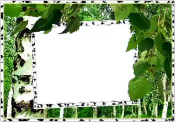বিভাগ থেকে ফটোইফেক্ট গ্রীষ্ম № 154334