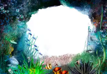 বিভাগ থেকে ফটোইফেক্ট গ্রীষ্ম № 155944
