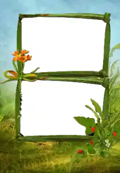 বিভাগ থেকে ফটোইফেক্ট গ্রীষ্ম № 160630