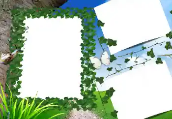 বিভাগ থেকে ফটোইফেক্ট গ্রীষ্ম № 160662