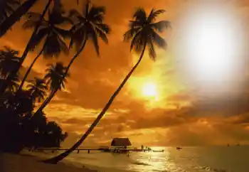 বিভাগ থেকে ফটোইফেক্ট গ্রীষ্ম № 164793