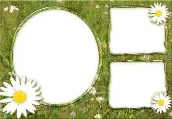 বিভাগ থেকে ফটোইফেক্ট গ্রীষ্ম № 166475