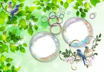 বিভাগ থেকে ফটোইফেক্ট গ্রীষ্ম № 167832