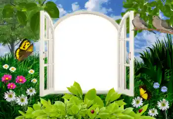বিভাগ থেকে ফটোইফেক্ট গ্রীষ্ম № 16945
