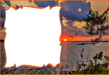 বিভাগ থেকে ফটোইফেক্ট গ্রীষ্ম № 170455