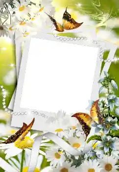 বিভাগ থেকে ফটোইফেক্ট বসন্ত № 4611