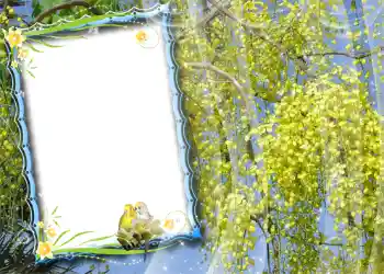 বিভাগ থেকে ফটোইফেক্ট বসন্ত № 981